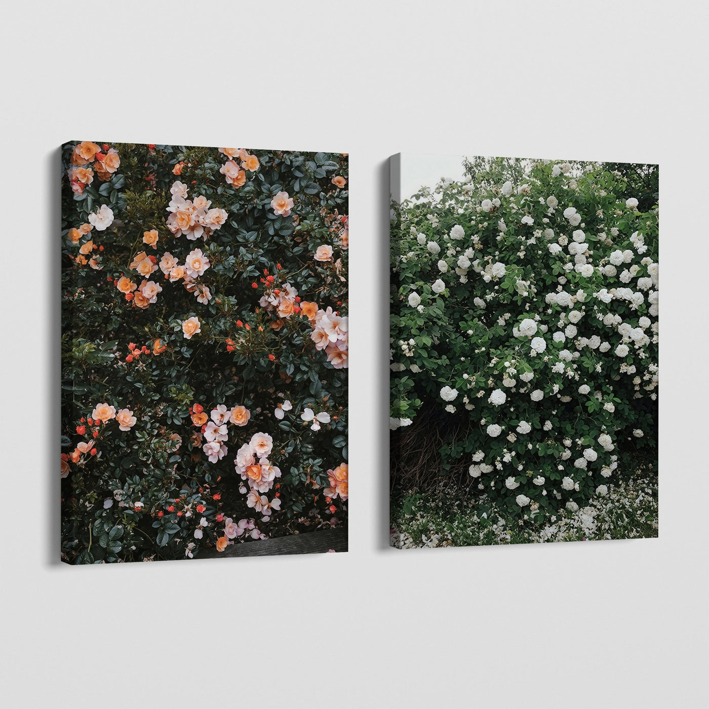 FLORAS CANVAS