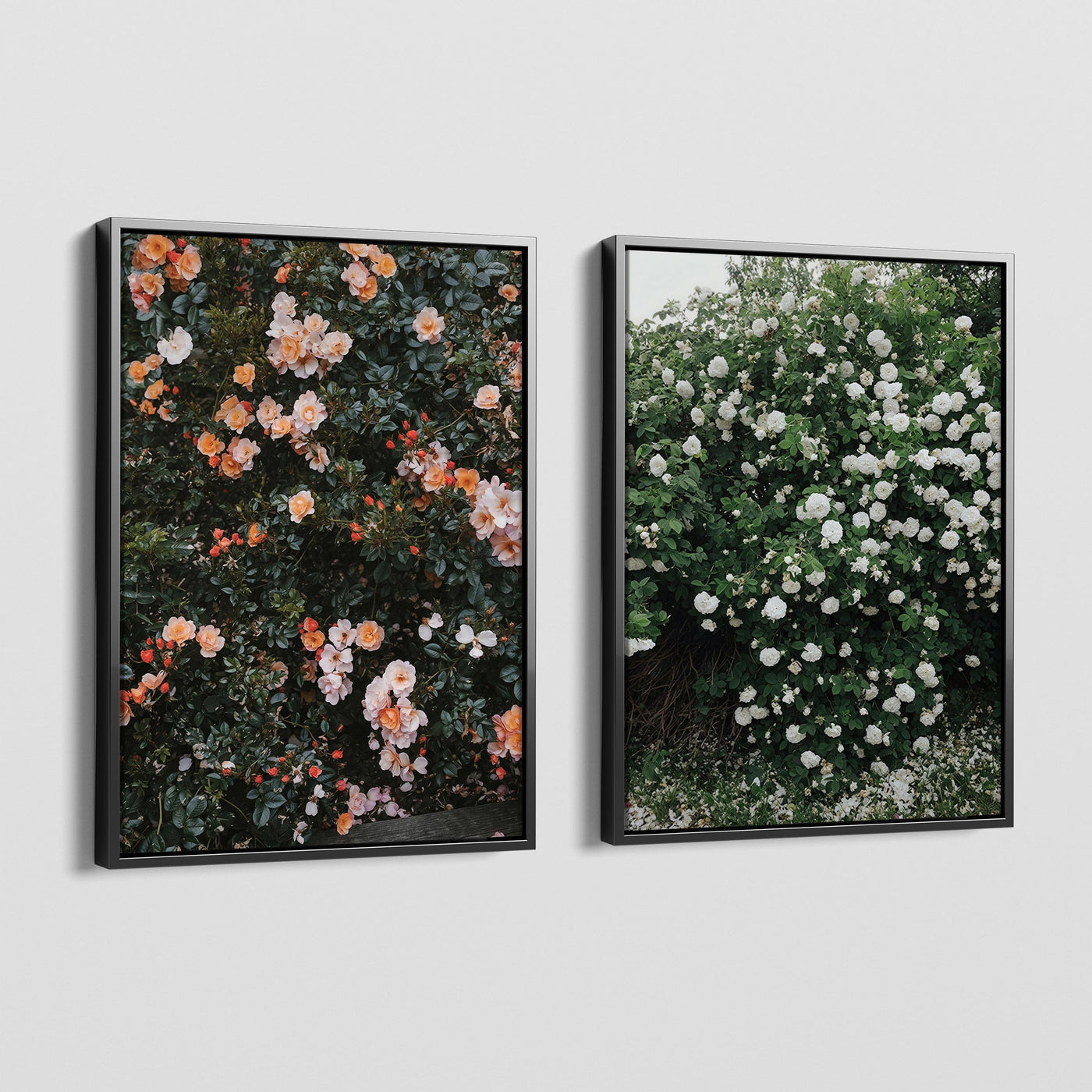 FLORAS CANVAS