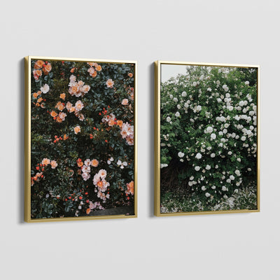 FLORAS CANVAS