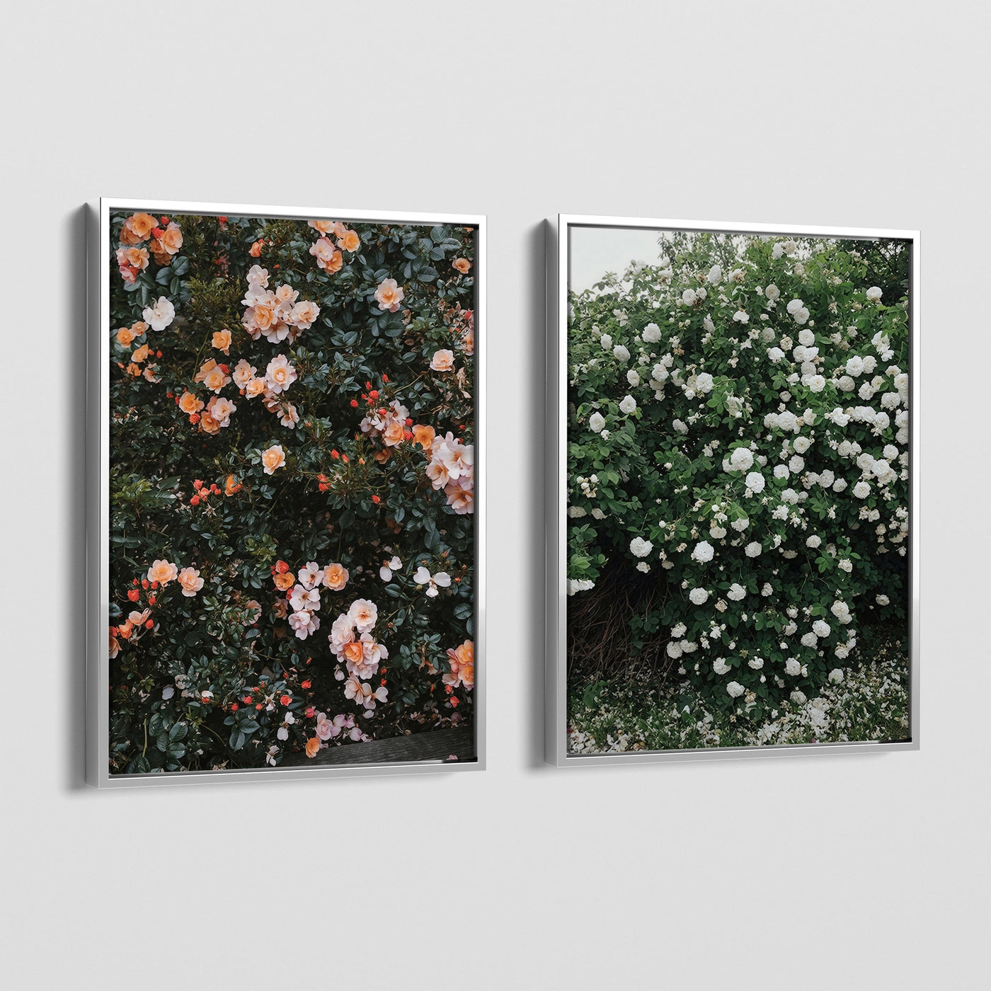 FLORAS CANVAS