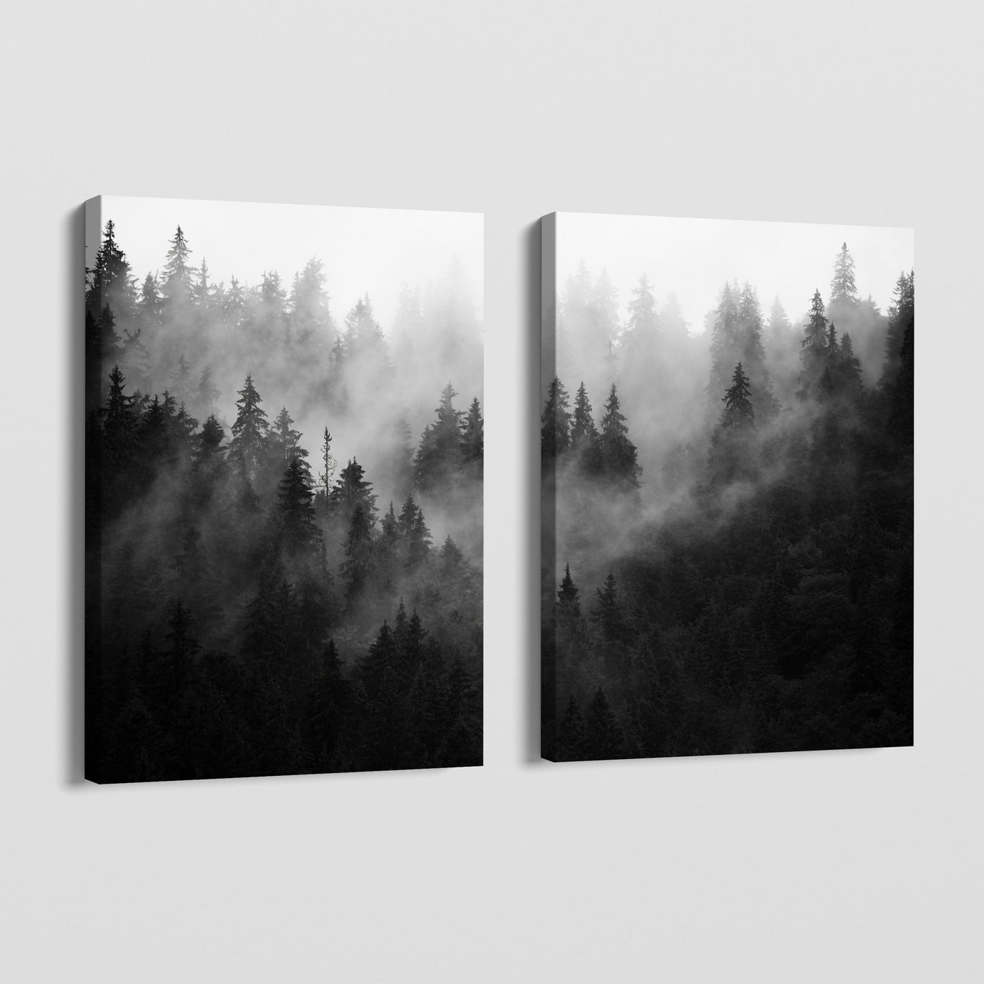 FOREST FOG CANVAS