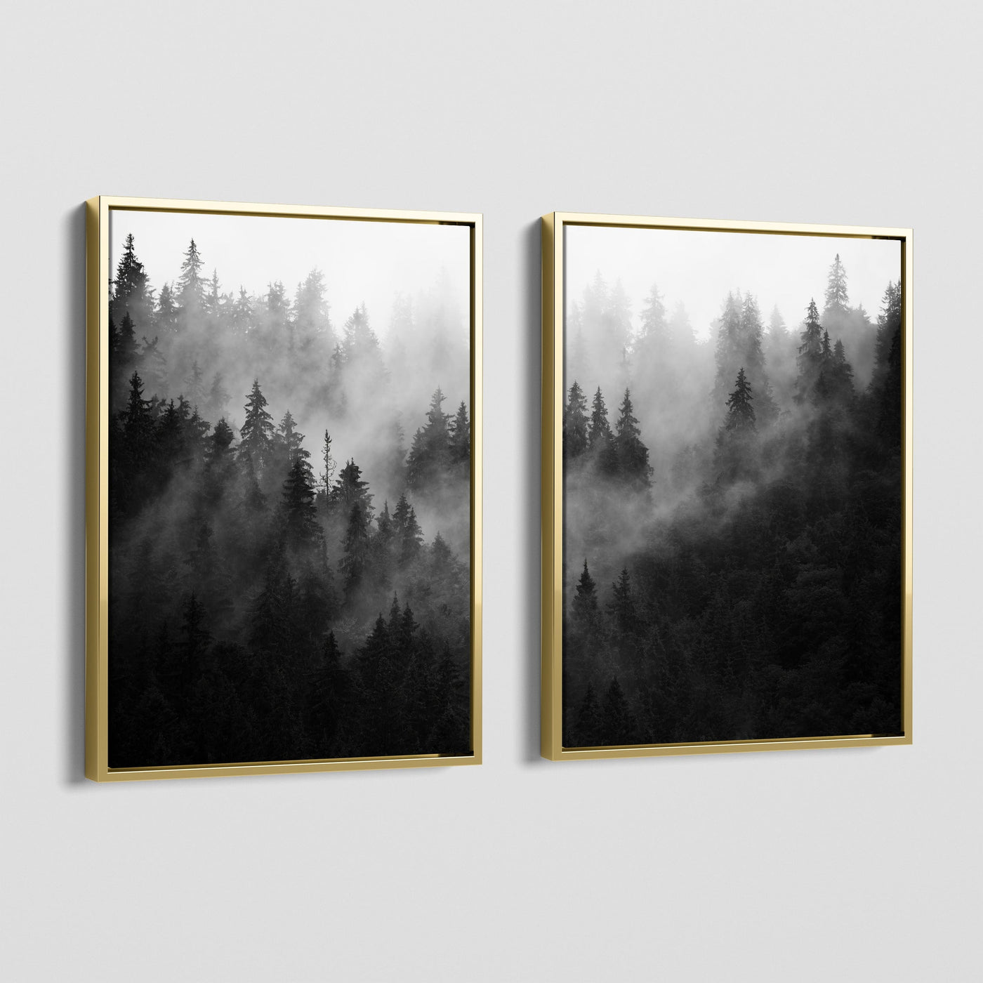 FOREST FOG CANVAS