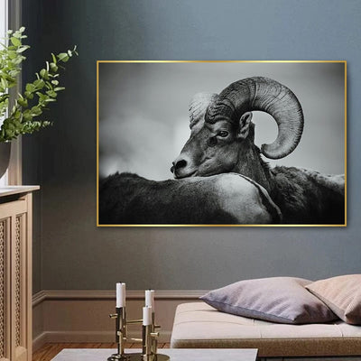 PEACEFUL RAM CANVAS