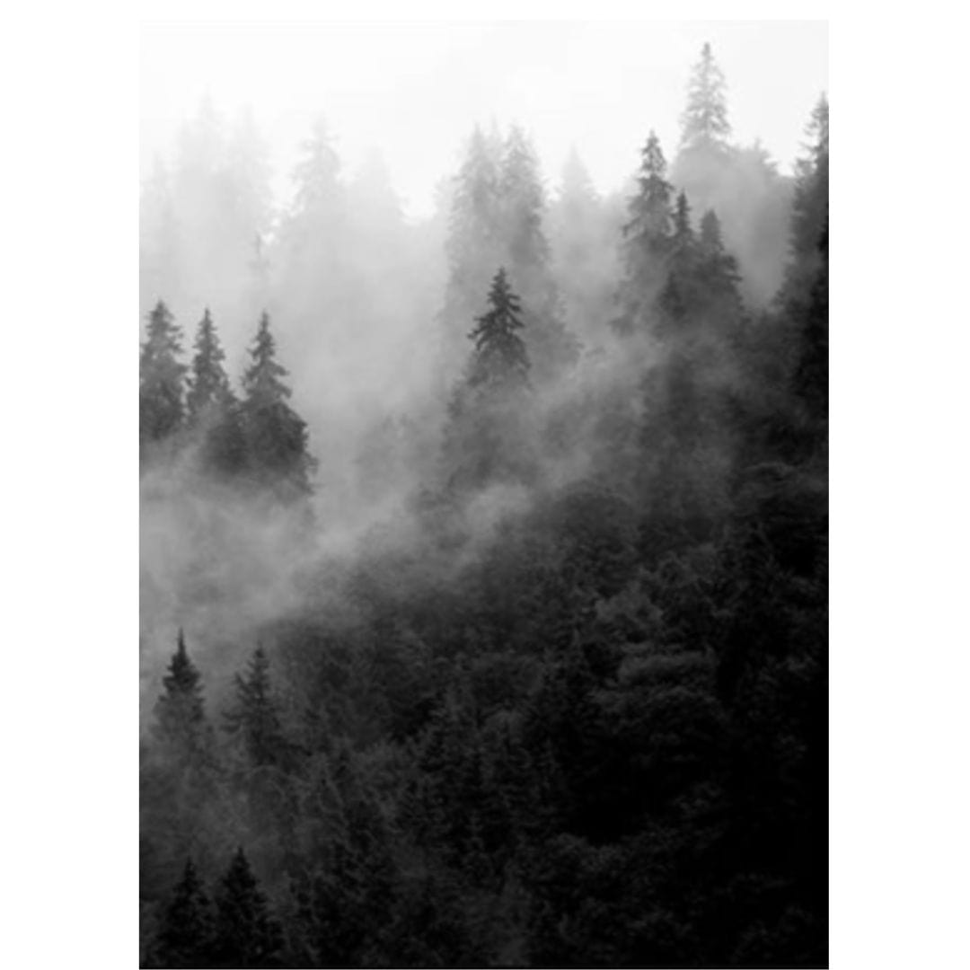 FOREST FOG