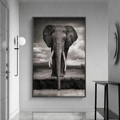 SAVANNAH ELEPHANT - XL+