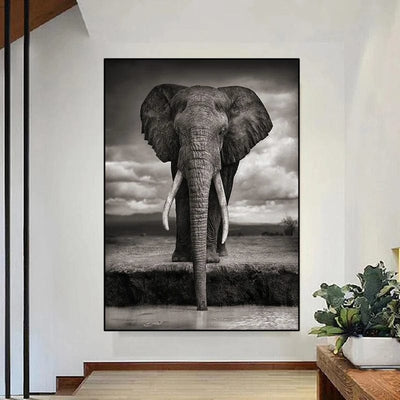 SAVANNAH ELEPHANT - XL+