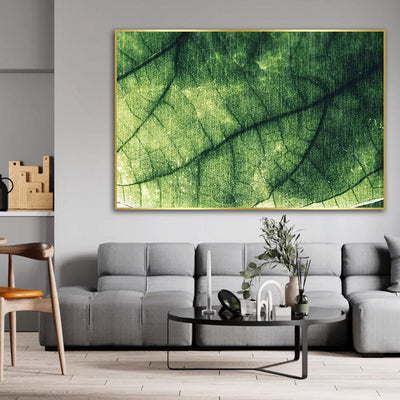 MACRO CANVAS