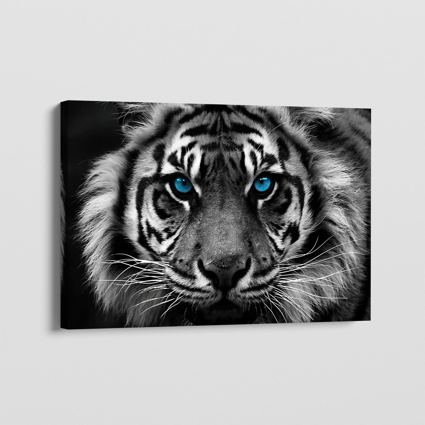 BLUE EYES TIGER CANVAS