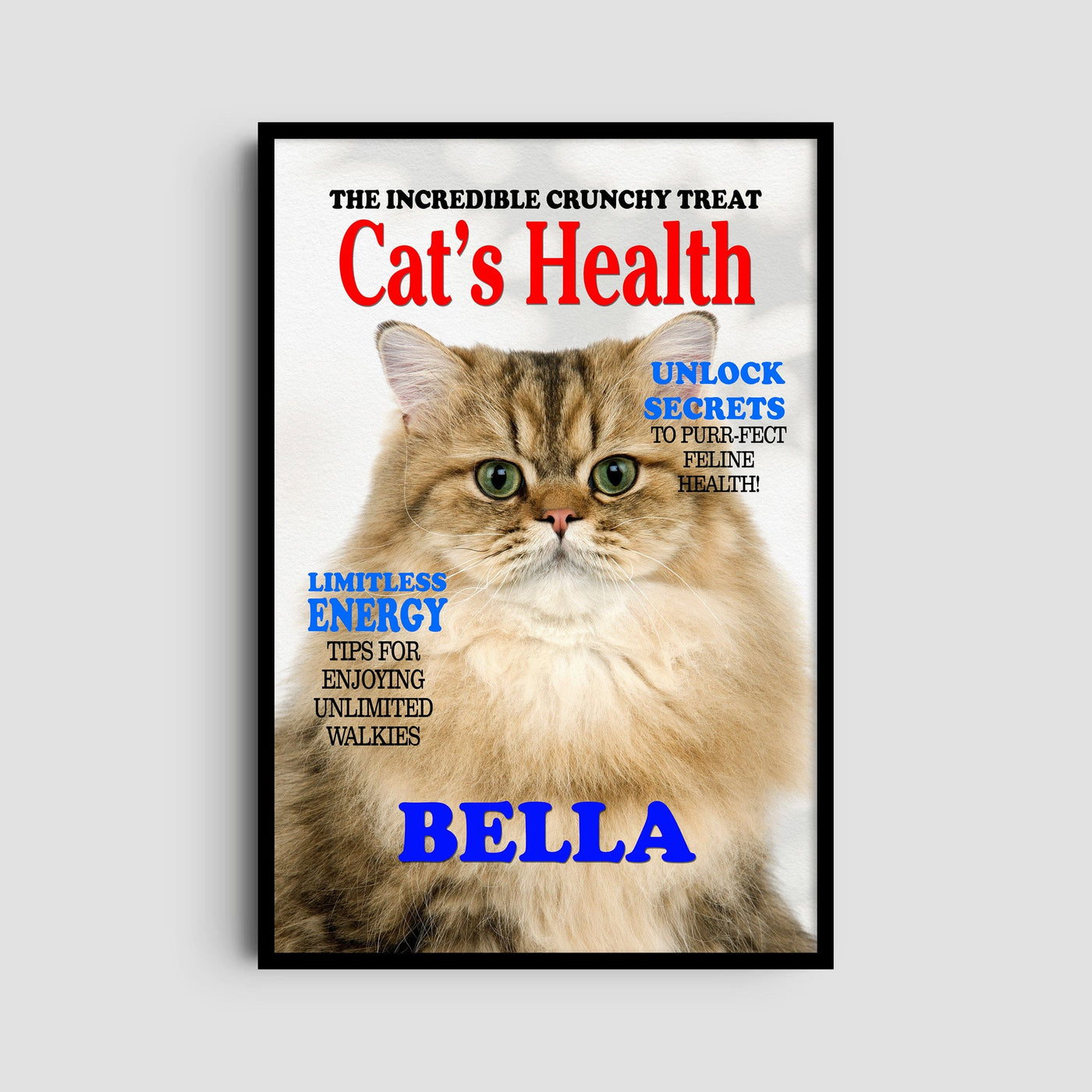 Custom Cats Health Magazine Pet Portrait