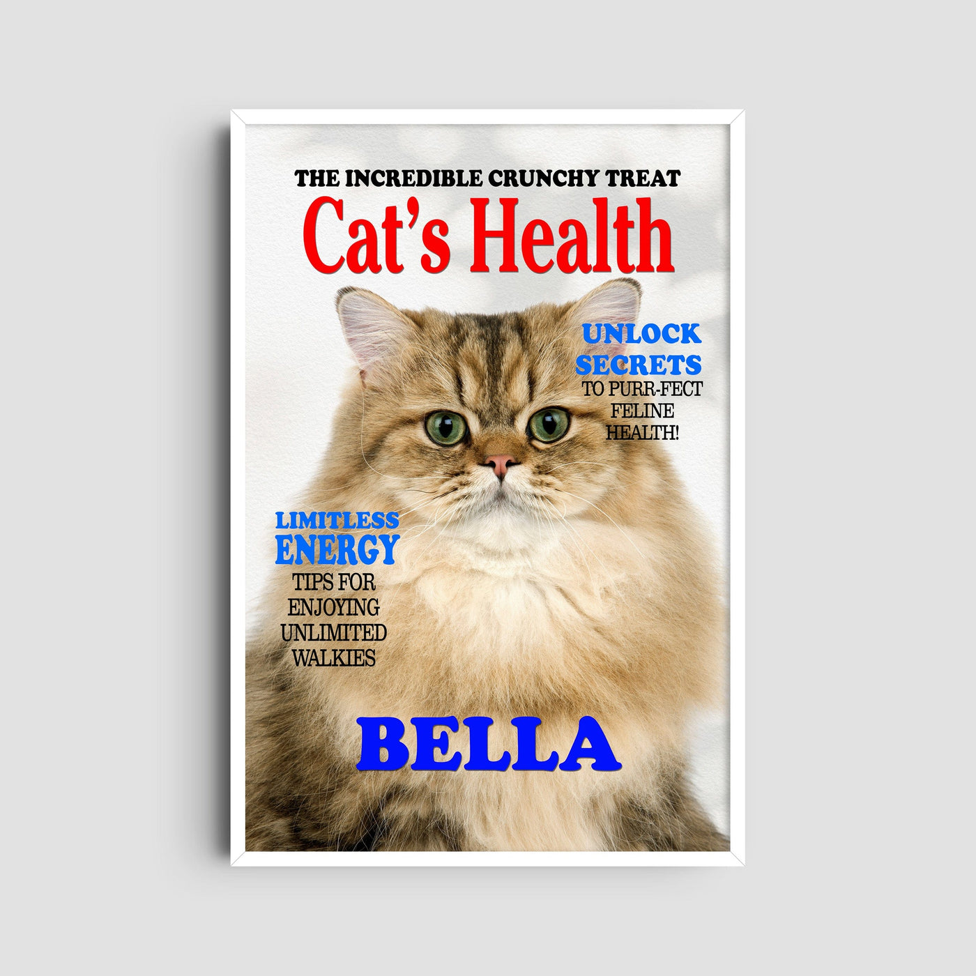 Custom Cats Health Magazine Pet Portrait