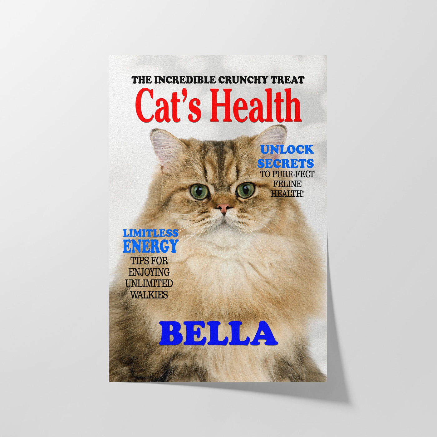 Custom Cats Health Magazine Pet Portrait