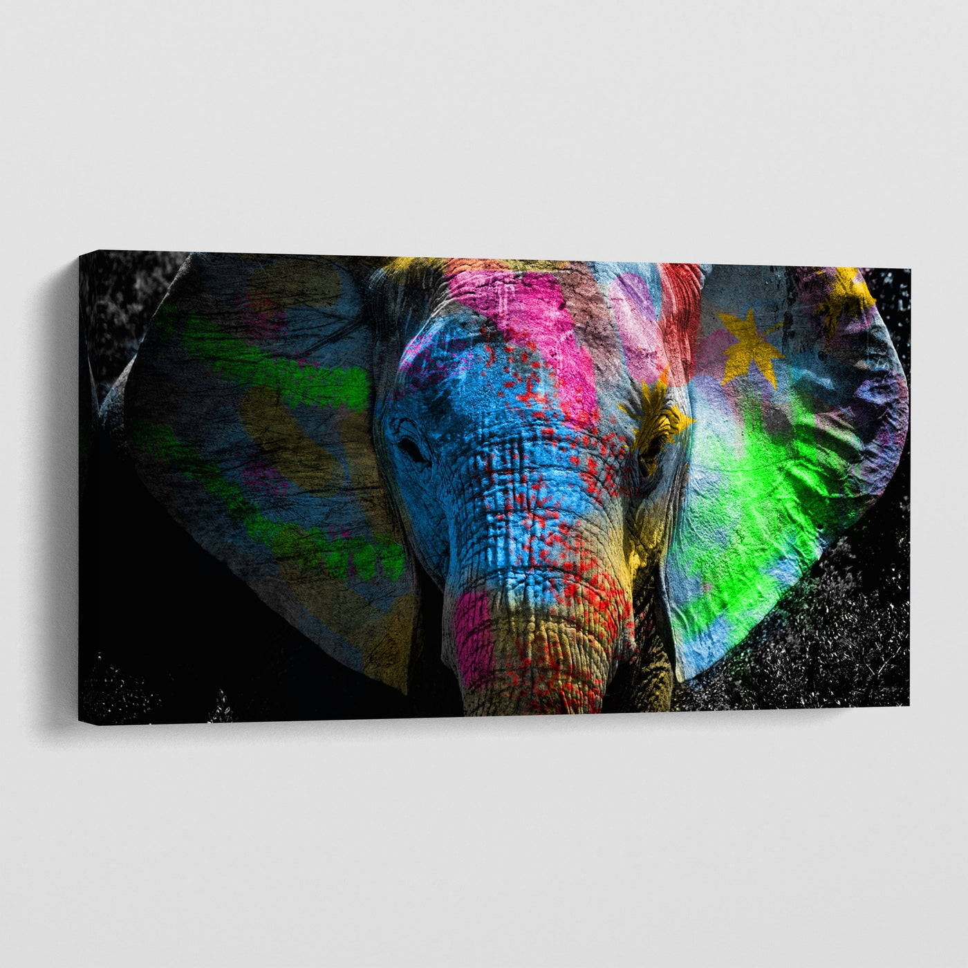 COLOURFUL ELEPHANT CANVAS