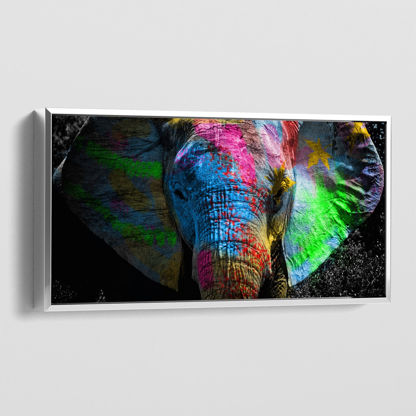 COLOURFUL ELEPHANT CANVAS