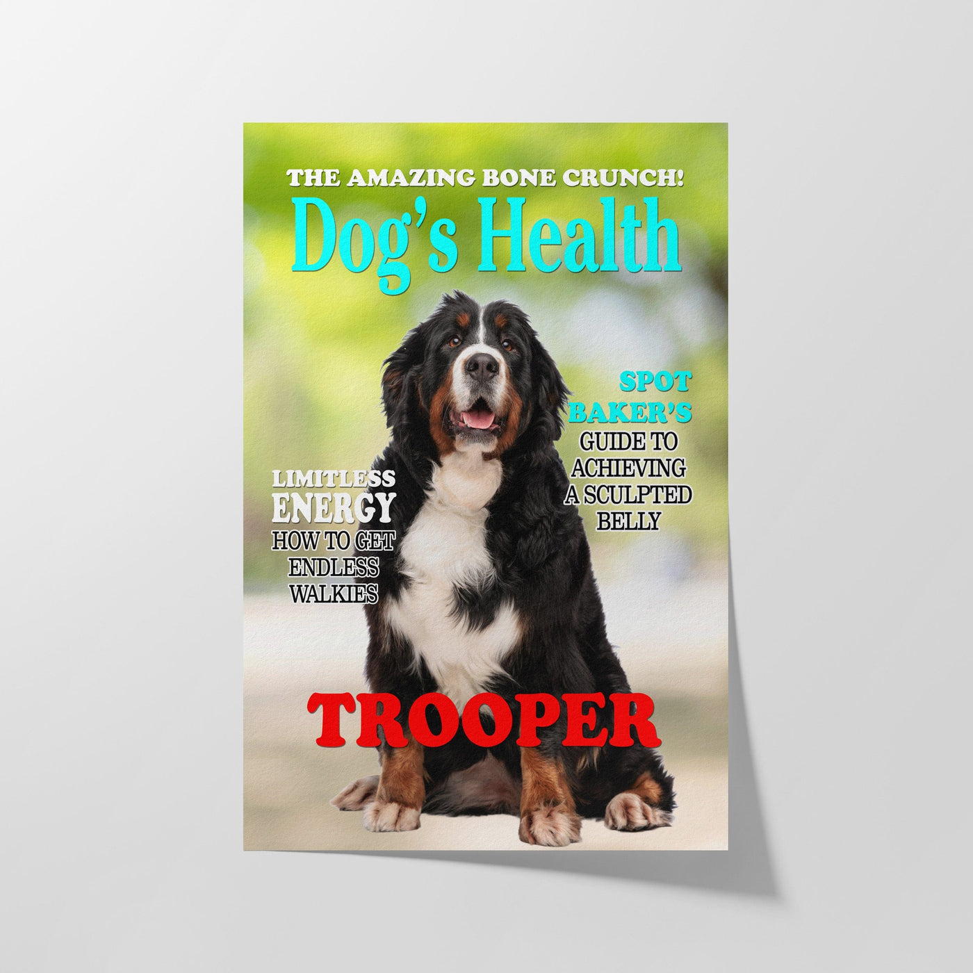 Custom Dogs Health Magazine Pet Portrait