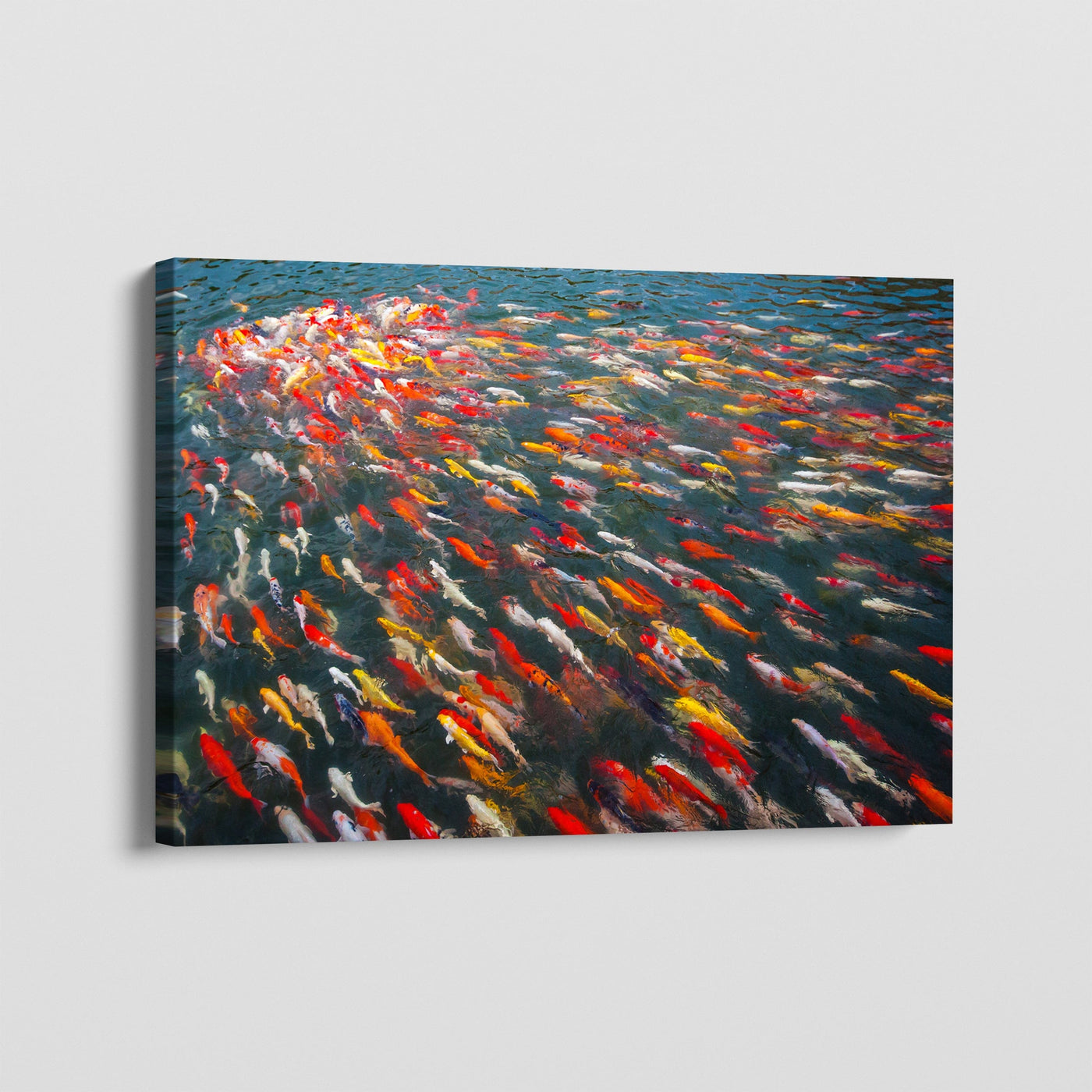 ELEGANT SWIMMERS CANVAS
