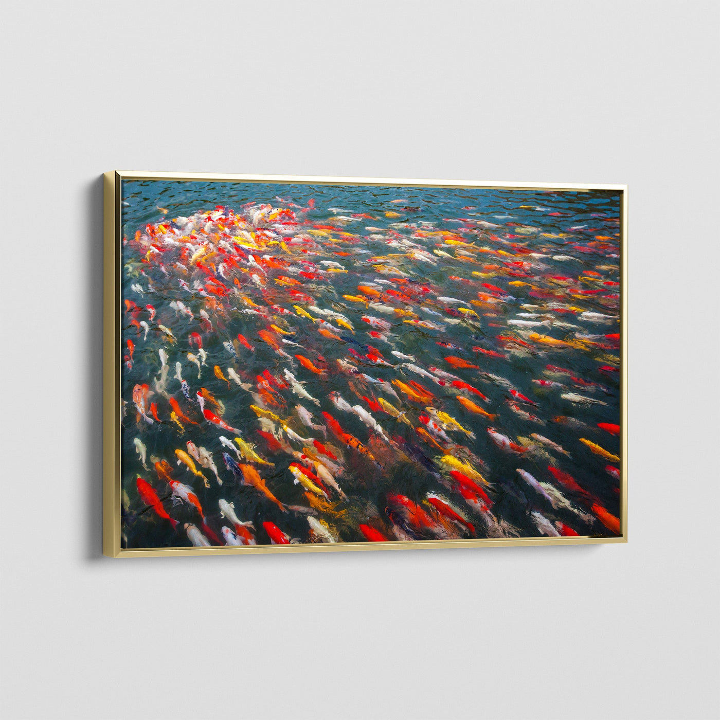 ELEGANT SWIMMERS CANVAS