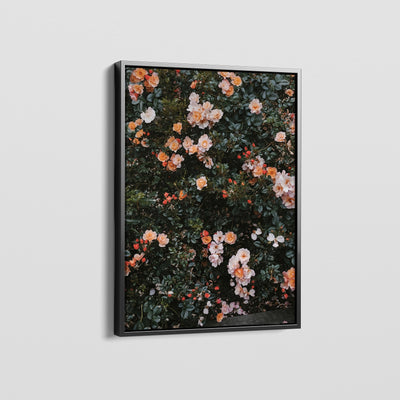 FLORAS CANVAS