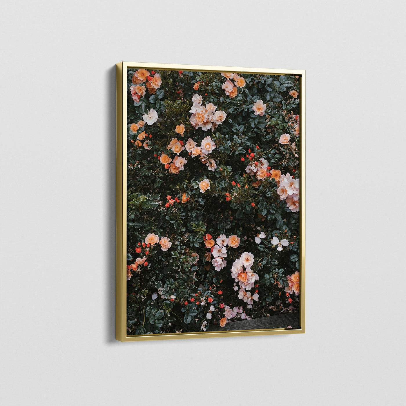 FLORAS CANVAS