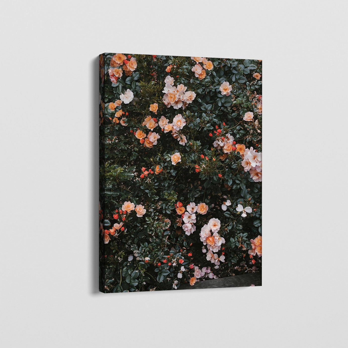 FLORAS CANVAS