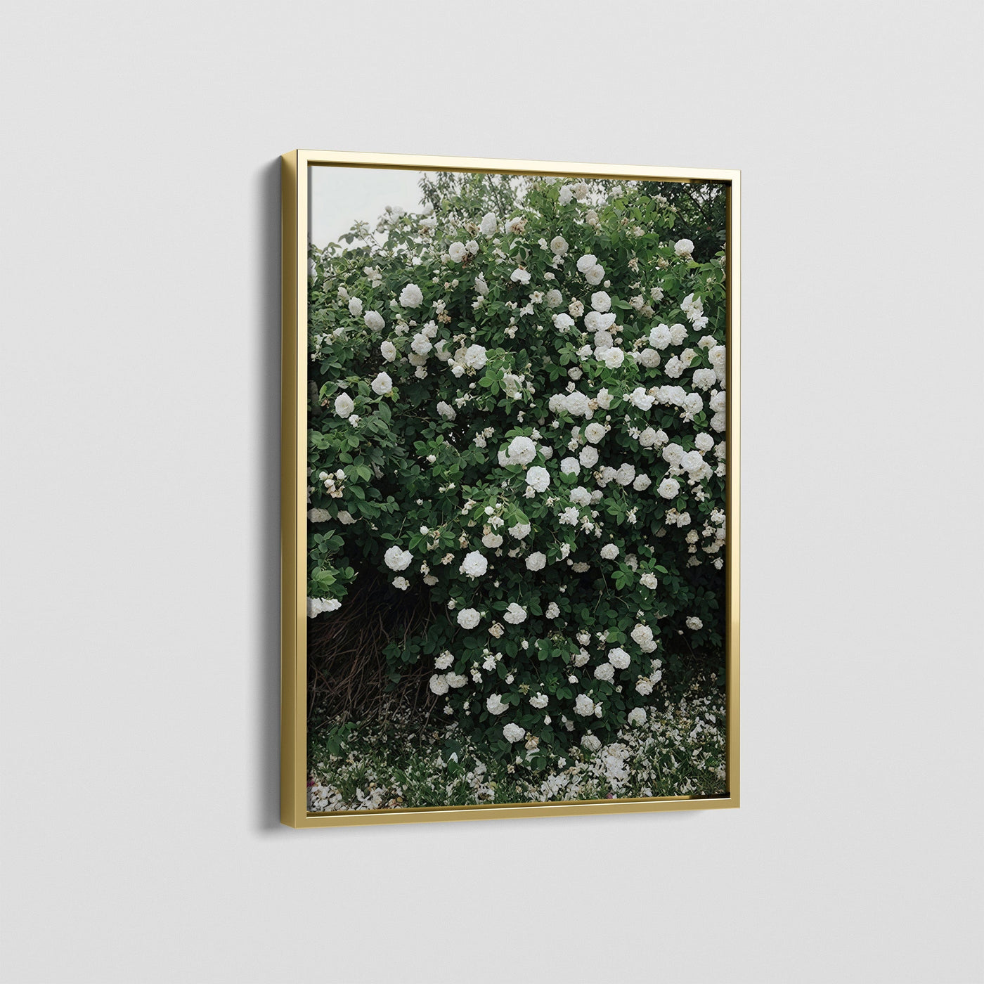 FLORAS CANVAS