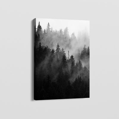 FOREST FOG CANVAS