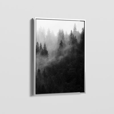 FOREST FOG CANVAS
