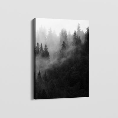 FOREST FOG CANVAS