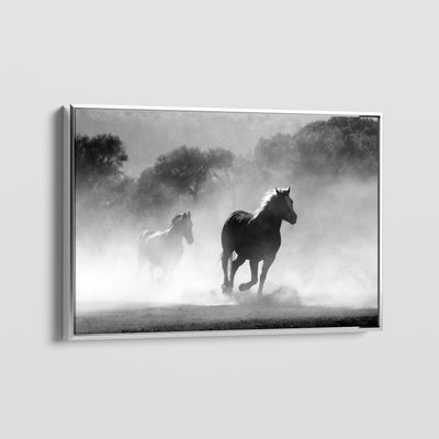GALLOPS AND MIST CANVAS