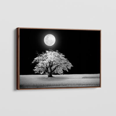 3:2 - canvasvoorbeeld