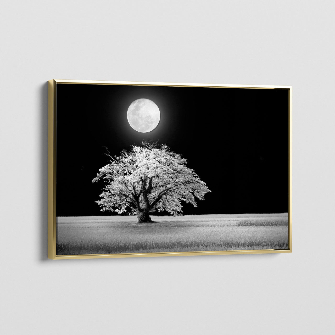 3:2 - canvasvoorbeeld