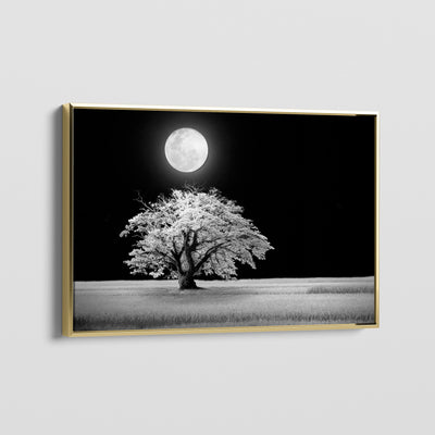 3:2 - canvasvoorbeeld