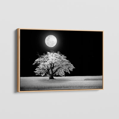 3:2 - canvasvoorbeeld