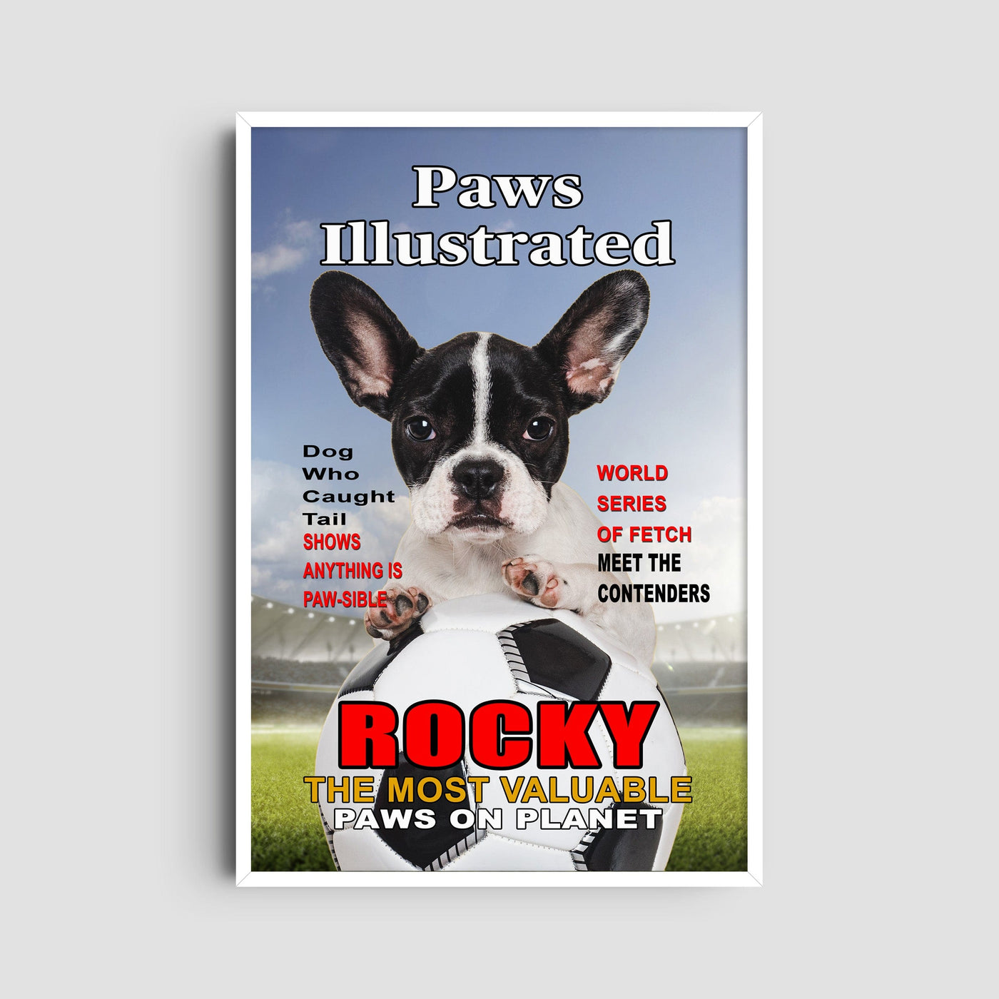 Custom Sports Illustrated Magazine Pet Portrait