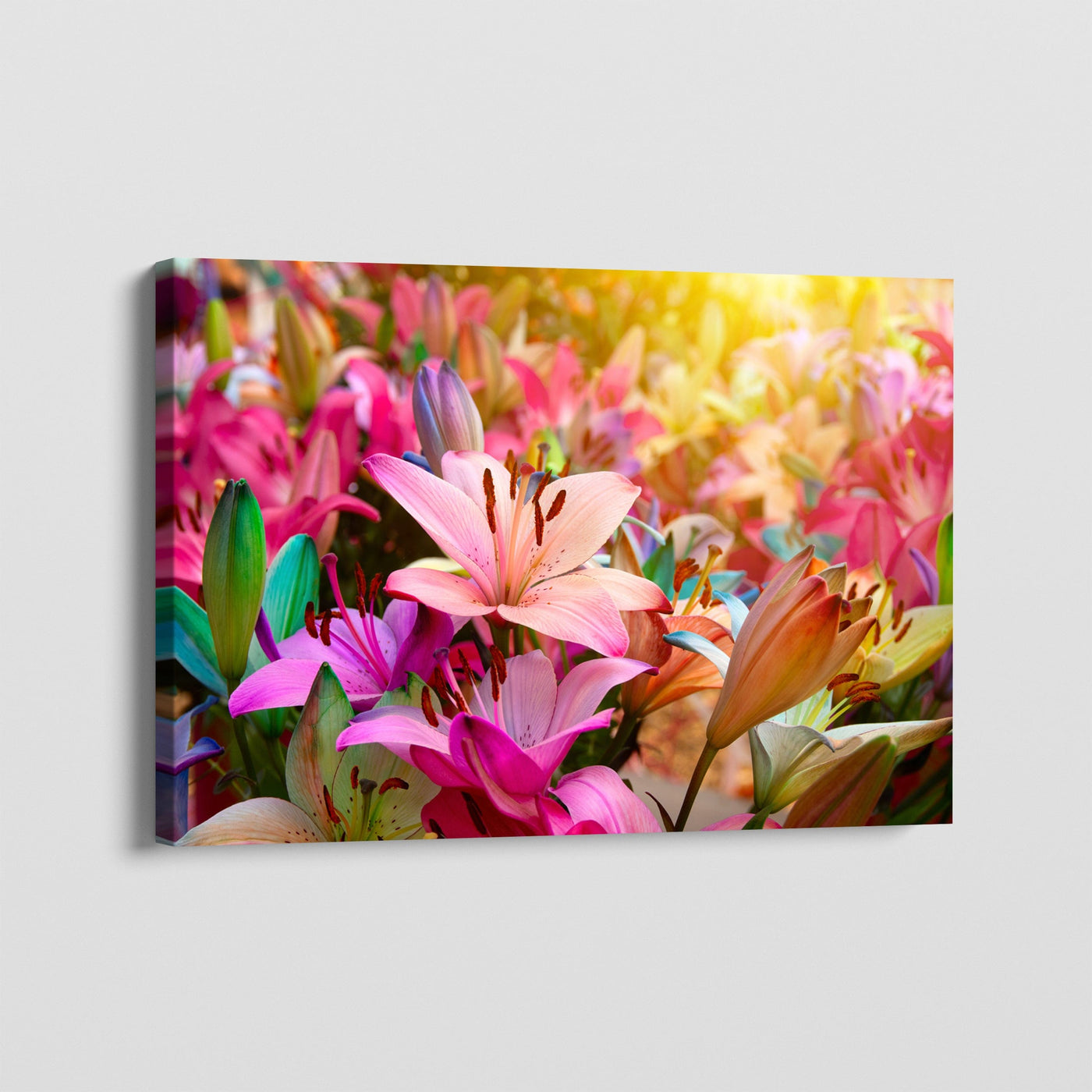 3:2 - canvasvoorbeeld