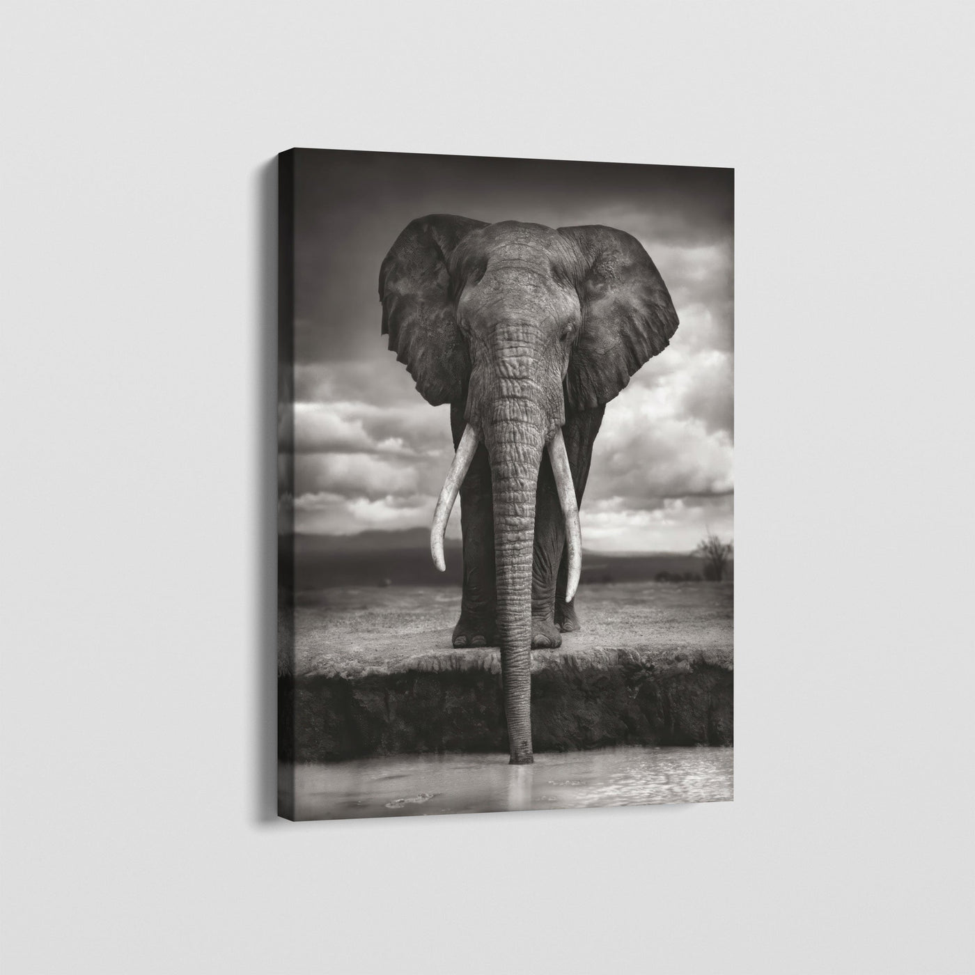 SAVANNAH ELEPHANT CANVAS