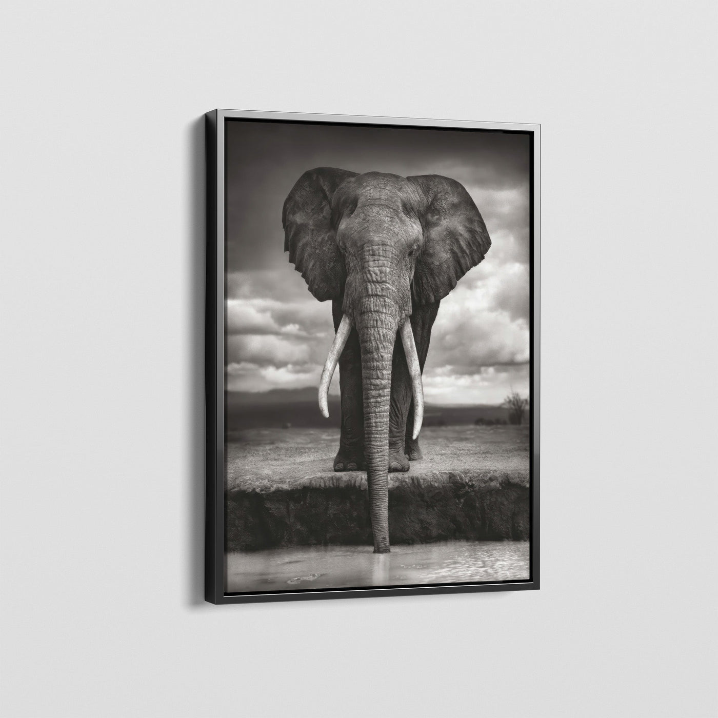 SAVANNAH ELEPHANT CANVAS