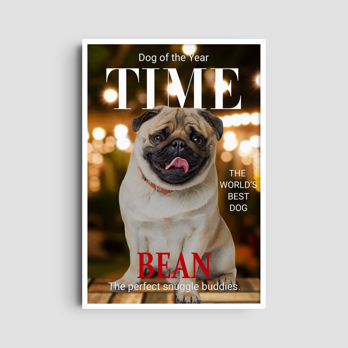 Custom Time Magazine Pet Portrait