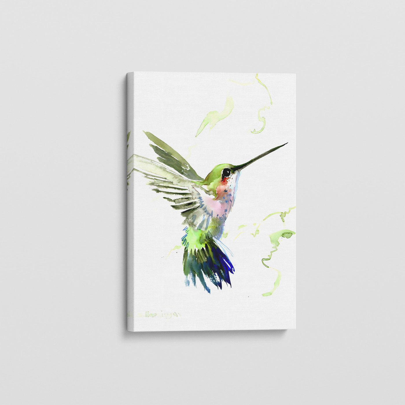 VIVID BIRDS - C CANVAS