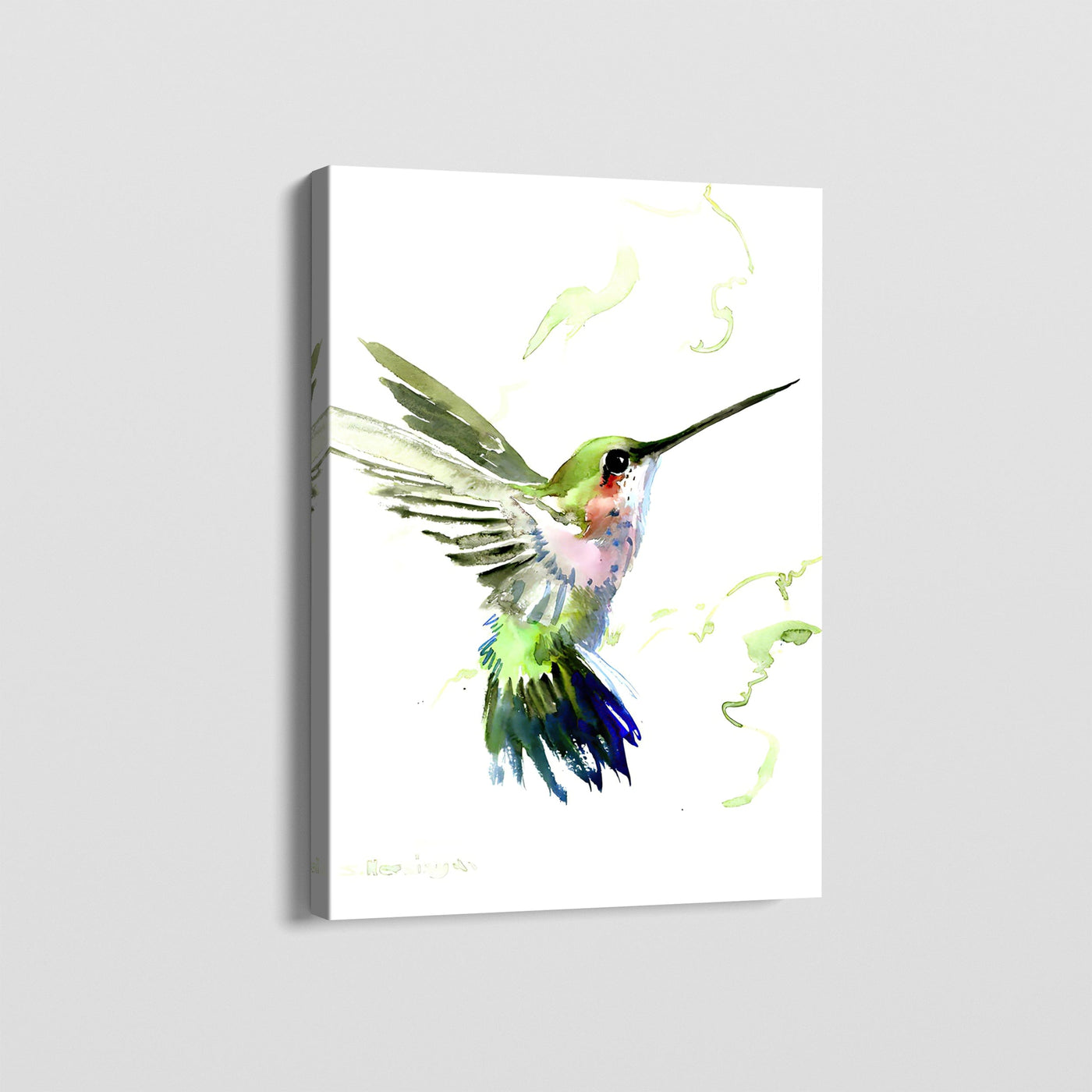 VIVID BIRDS - C CANVAS