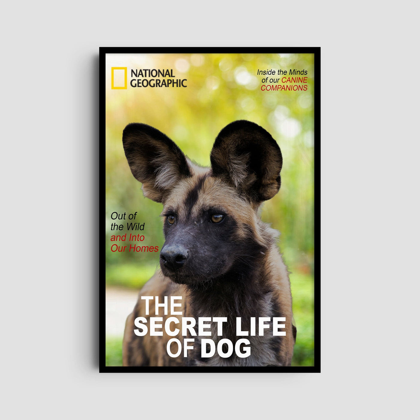 Custom National Geographic Magazine Pet Portrait