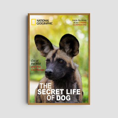 Custom National Geographic Magazine Pet Portrait