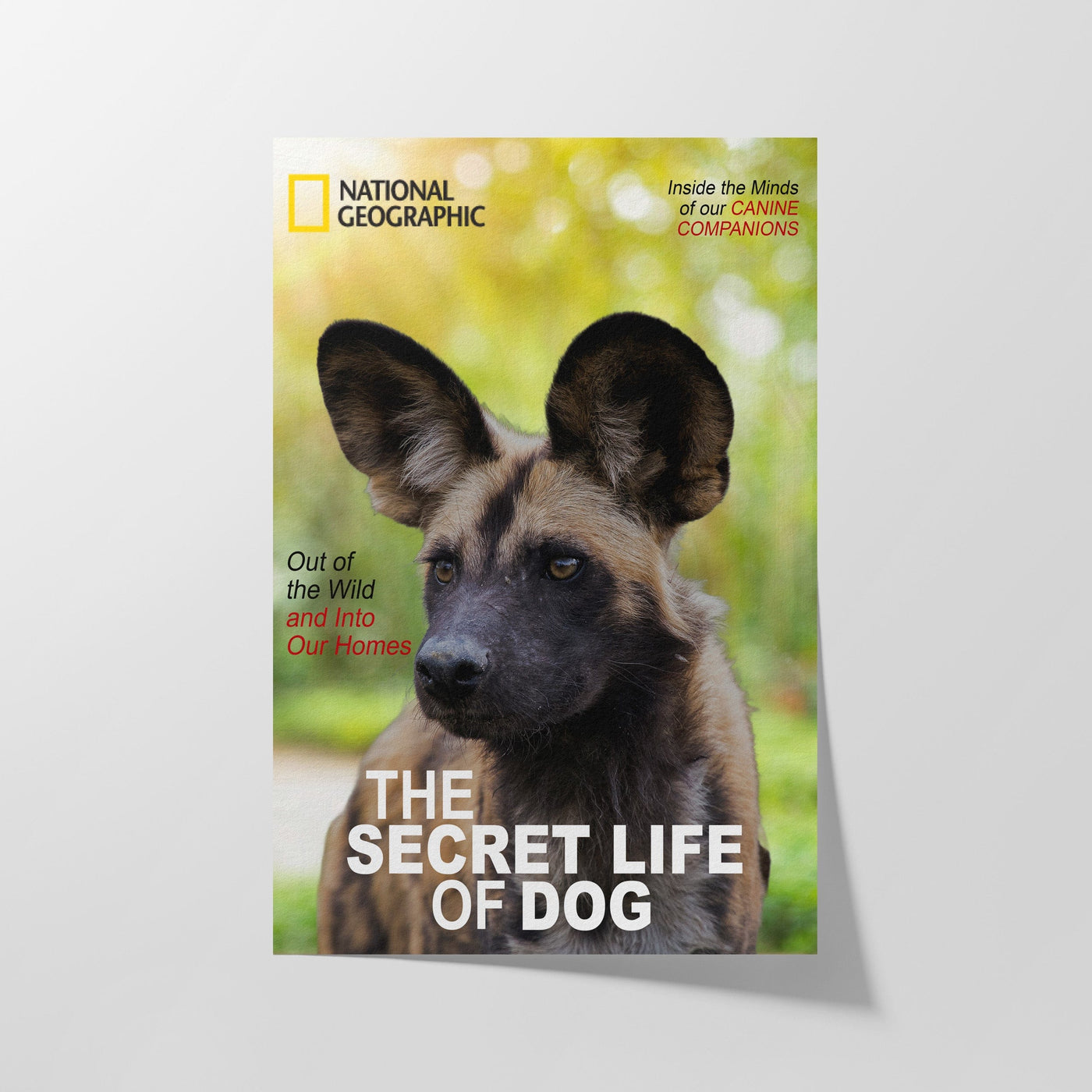 Custom National Geographic Magazine Pet Portrait