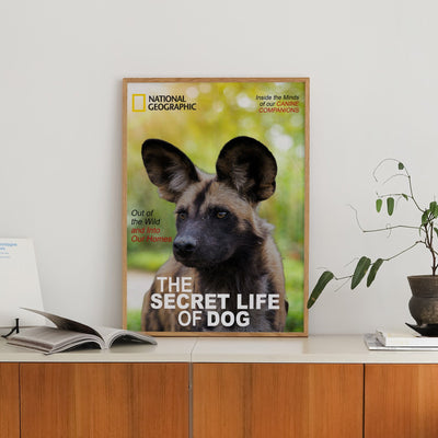 Custom National Geographic Magazine Pet Portrait