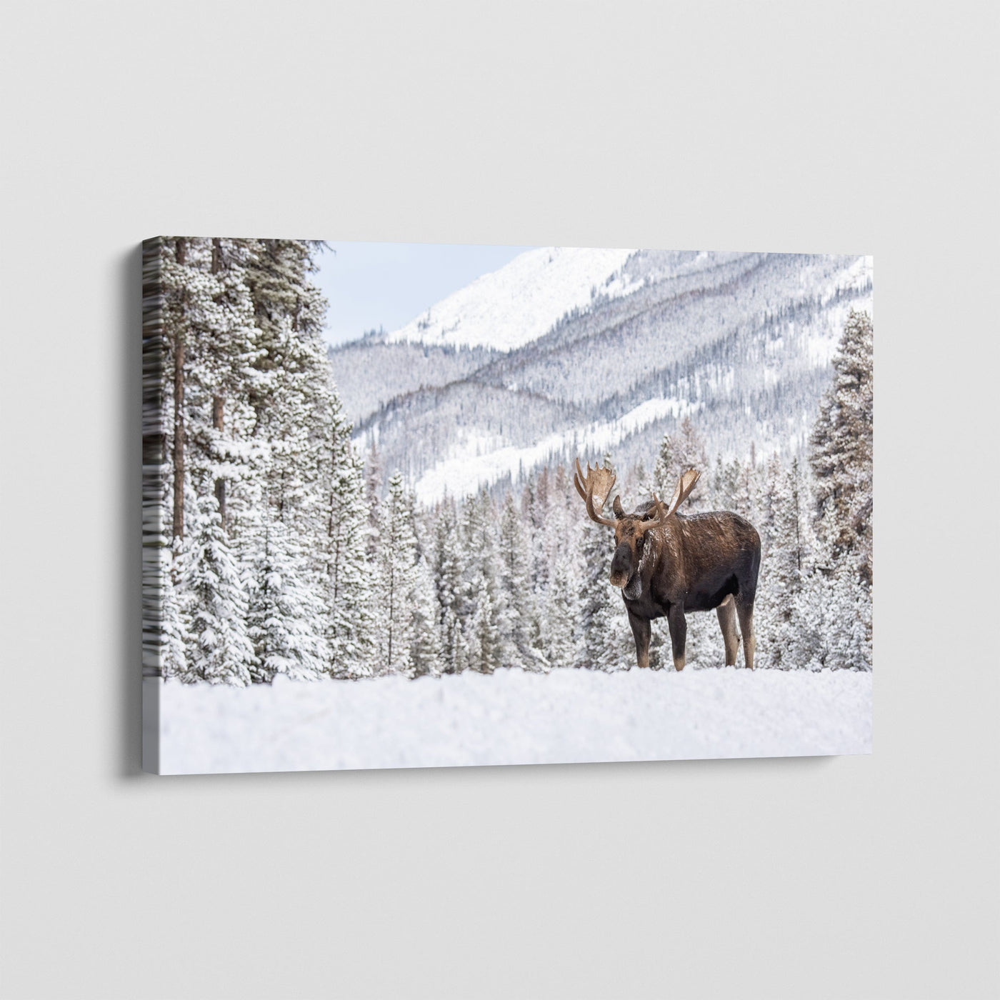Wilderness Soul CANVAS