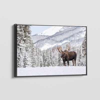 Wilderness Soul CANVAS