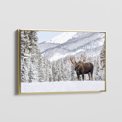 Wilderness Soul CANVAS