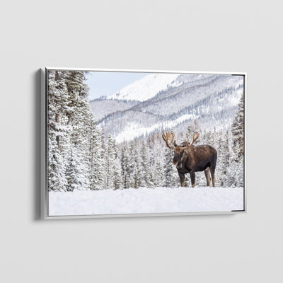 Wilderness Soul CANVAS
