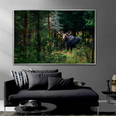 Forest King