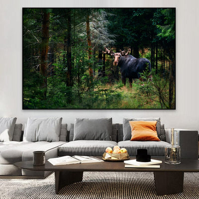 Forest King