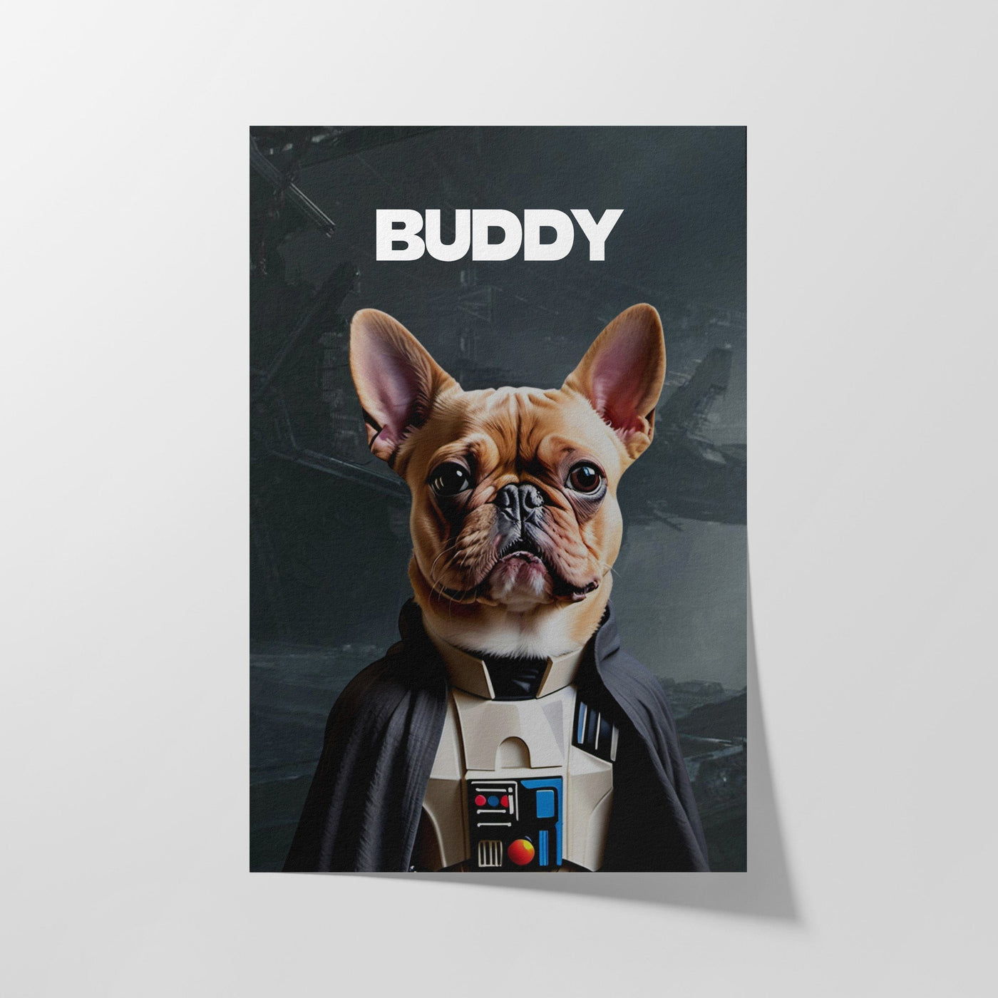 Custom Star Wars 2 Film Pet Portrait